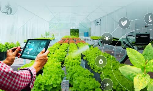 Pemanfaatan Teknologi dalam Sektor Pertanian Modern